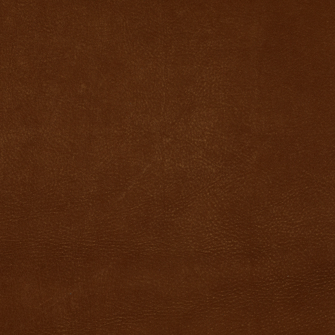 Cordoba Cognac brown leather texture with natural grain pattern and warm tones