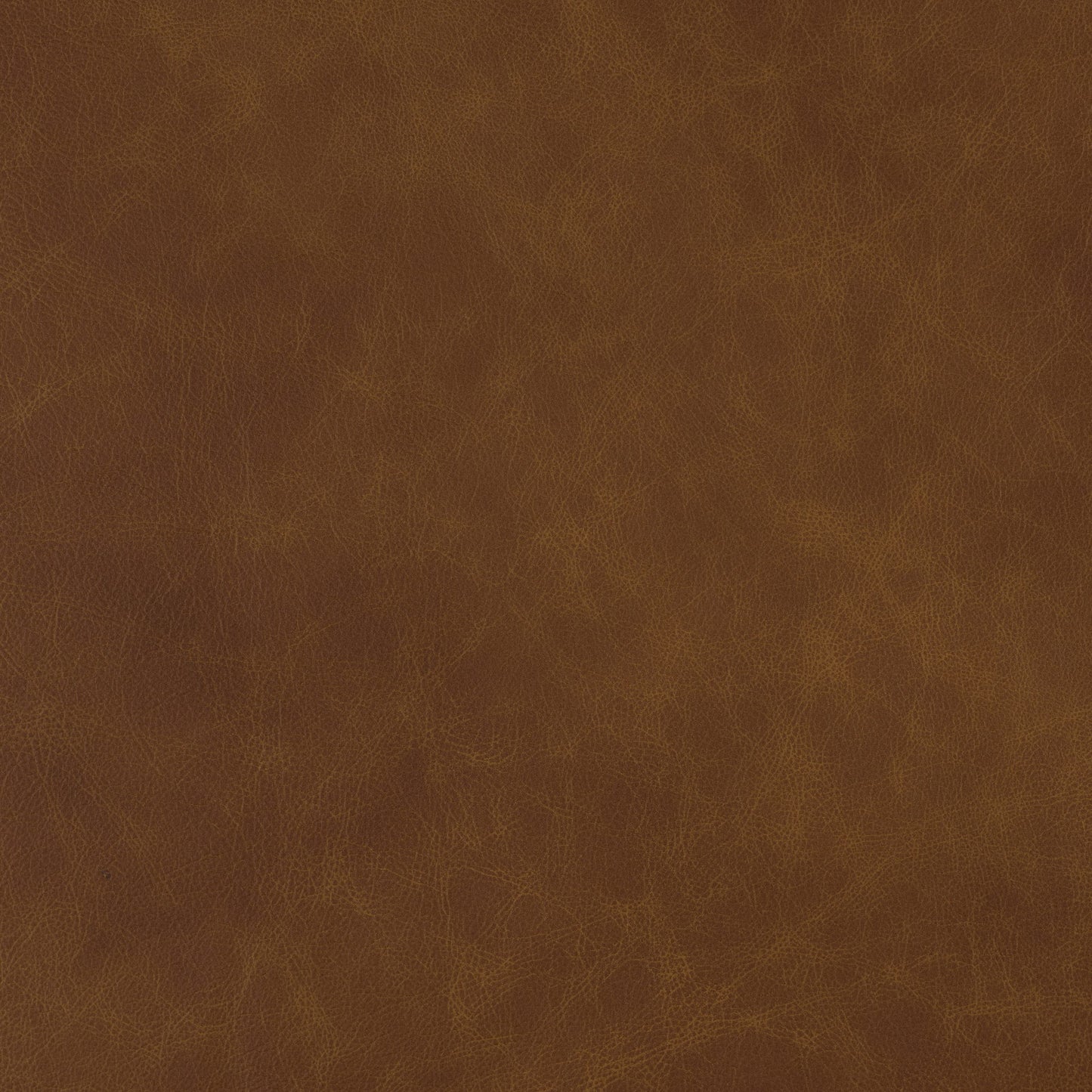 Sunrise over Eastwood Florida with calm lake, silhouetted trees, and colorful sky reflection