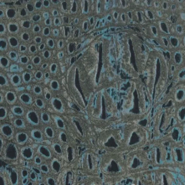 Best Asher Leather Embossed Upholstery Leather Hornback midnight, embossed upholstery leather usa, dallas upholstery leather, usa upholstery leather, best high quality upholstery leather, upholstery leather for furniture, affordable upholstery leather, affordable wholesale upholstery leather usa, interior design, interior designer upholstery leather, free leather samples 