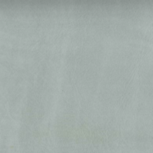 top grain upholstery leather baby blue, upholstery leather, best upholstery leather, upholstery leather dallas texas, furniture leather, wholesale upholstery leather, trump, texas upholstery leather supplier